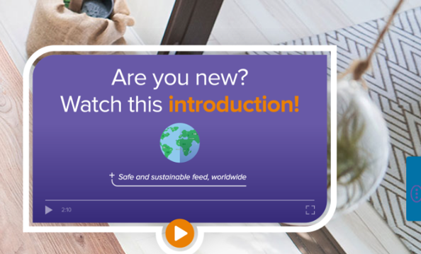 introduction of a training