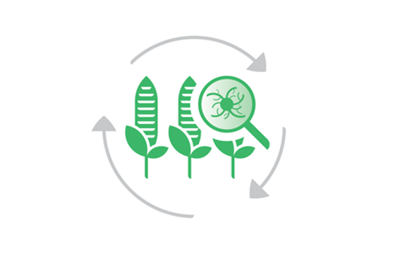 logo Aflatoxin