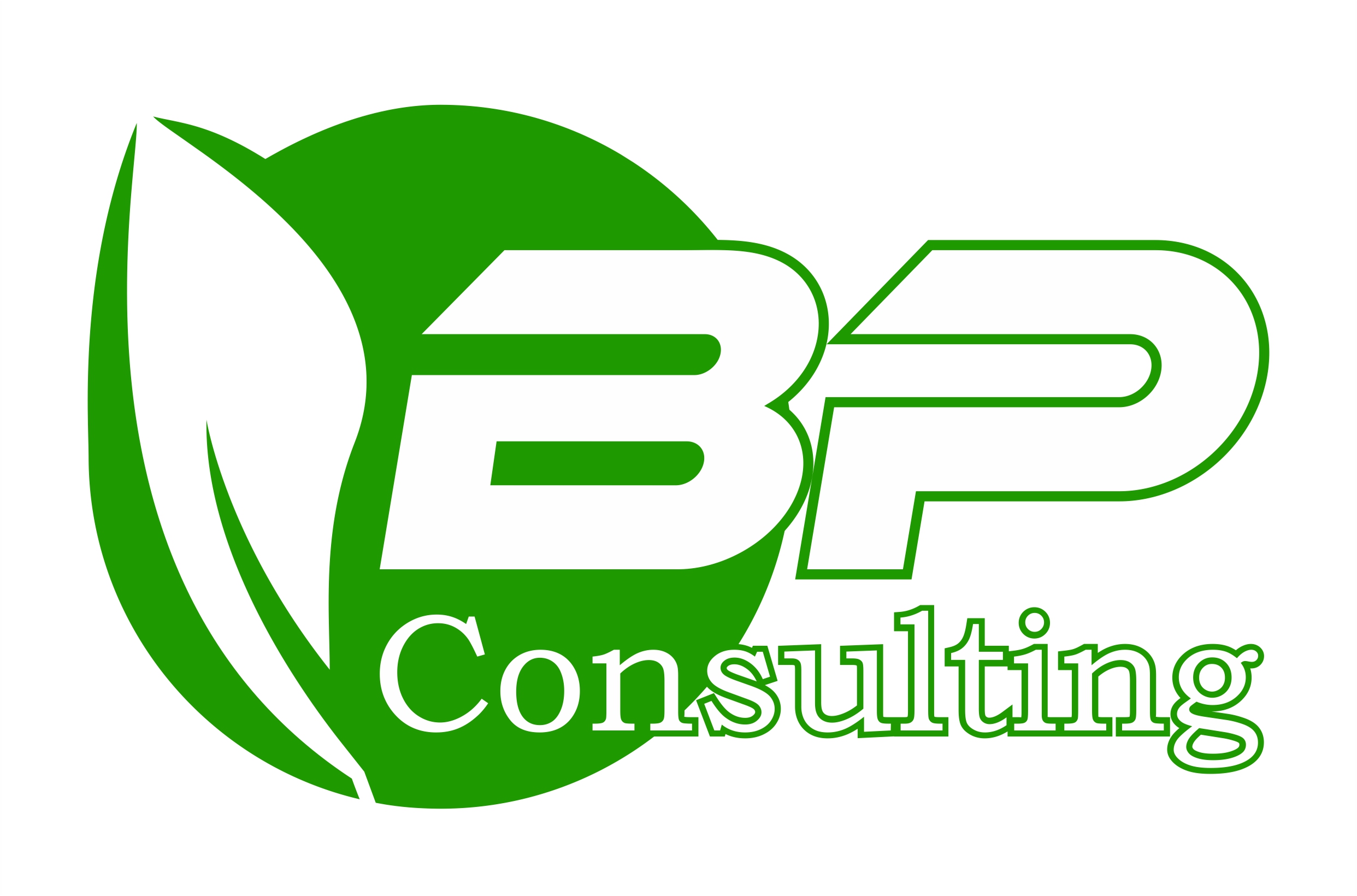 BP Consulting