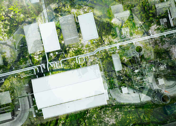 Factory roof