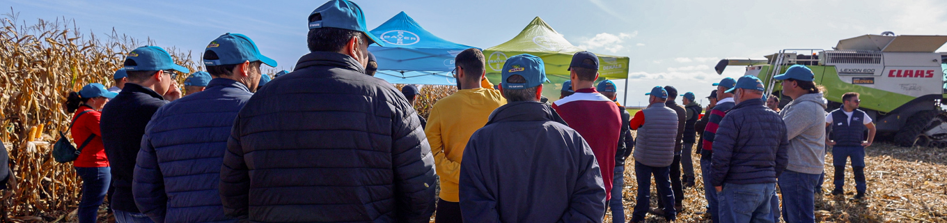 Partners collaboration